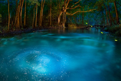 river-of-dreams