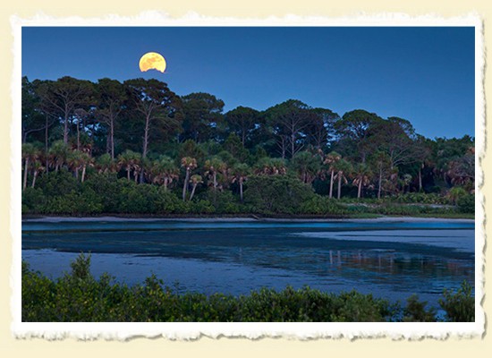 Caladesi Moonrise